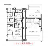 クリオレミントンヴィレッジ国立