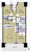アデニウム浅草