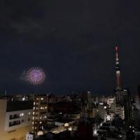 THE ASAKUSA RESIDENCE
