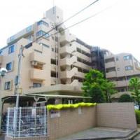 コスモ大宮公園