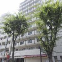 池袋ダイカンプラザ
