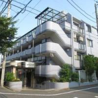セザール第二鷺宮