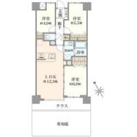 コスモ立川サングレイス