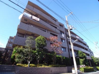 ナイスの分譲マンション