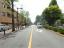 アピカ赤堤　前面道路